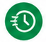 Fast online process icon